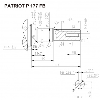 Купить Двигатель Patriot Garden P 177FB фото №2